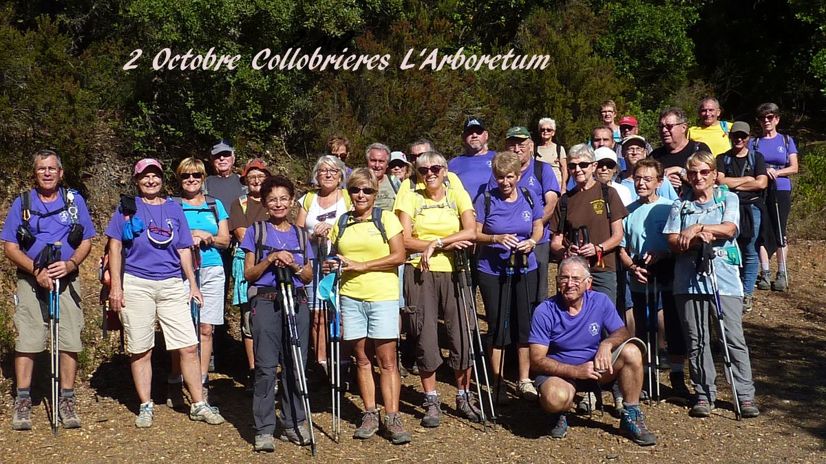 Collobrieres, l'arboretum