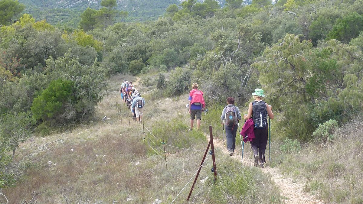 Puits d'Auzon, le grand Vallon