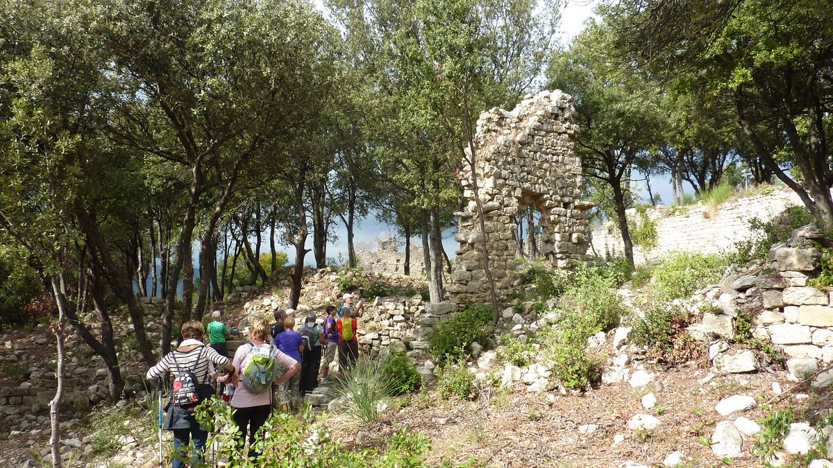 Le castellas de Forcalqueiret