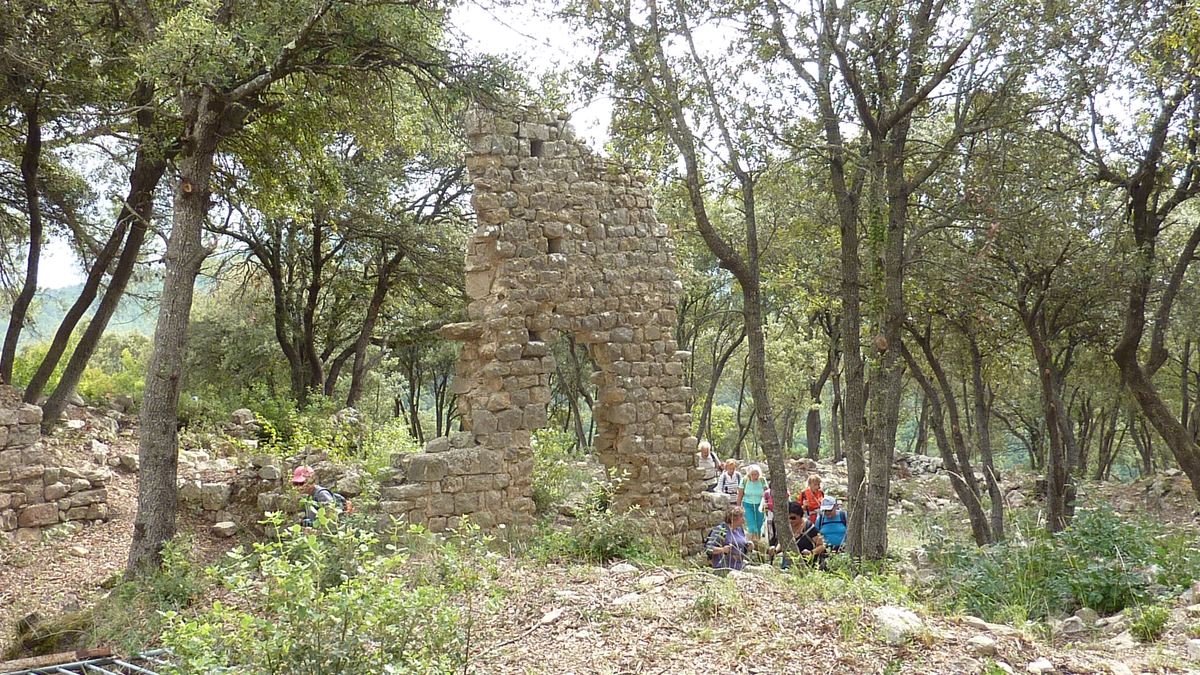 Le castellas de Forcalqueiret