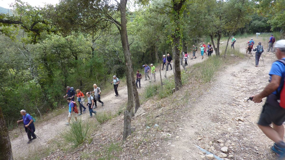 Le castellas de Forcalqueiret