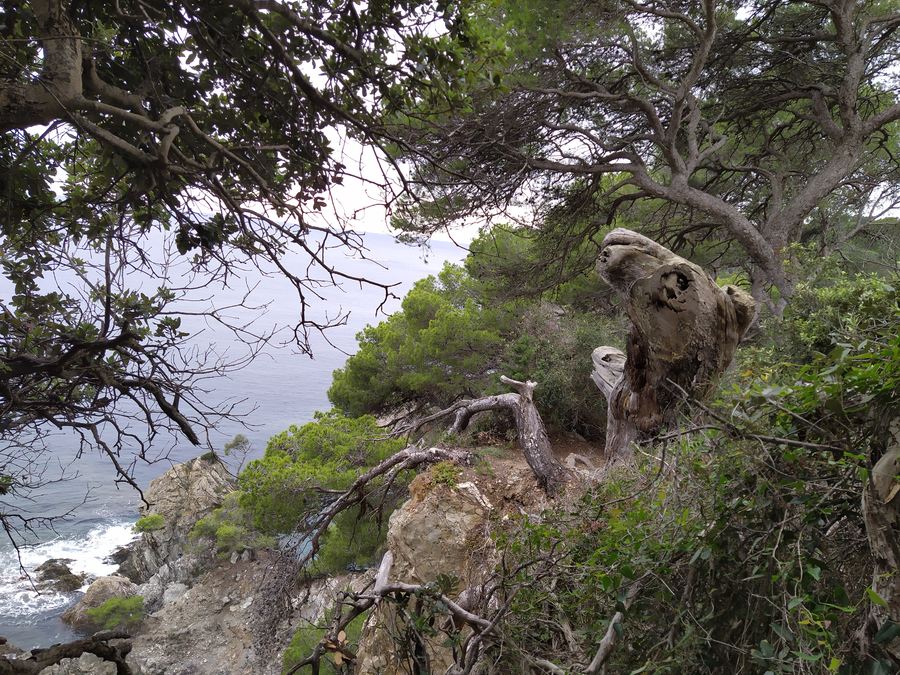 La presqu'île de Giens