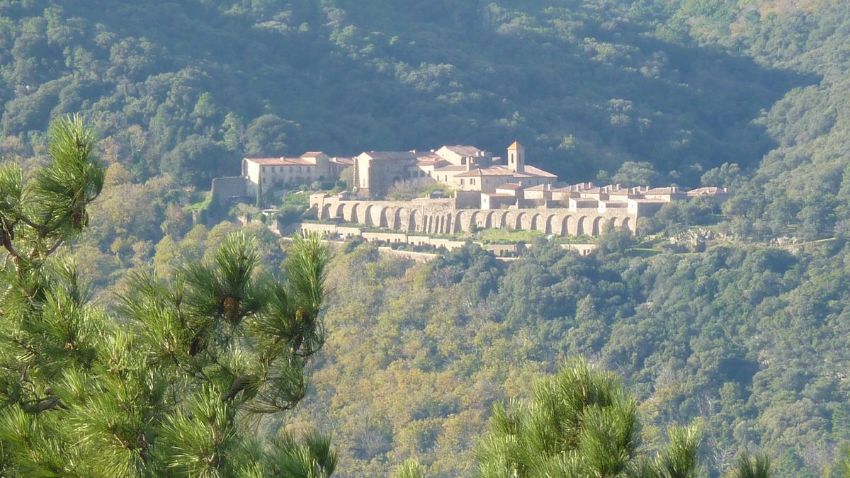 Collobrières, le Laïre