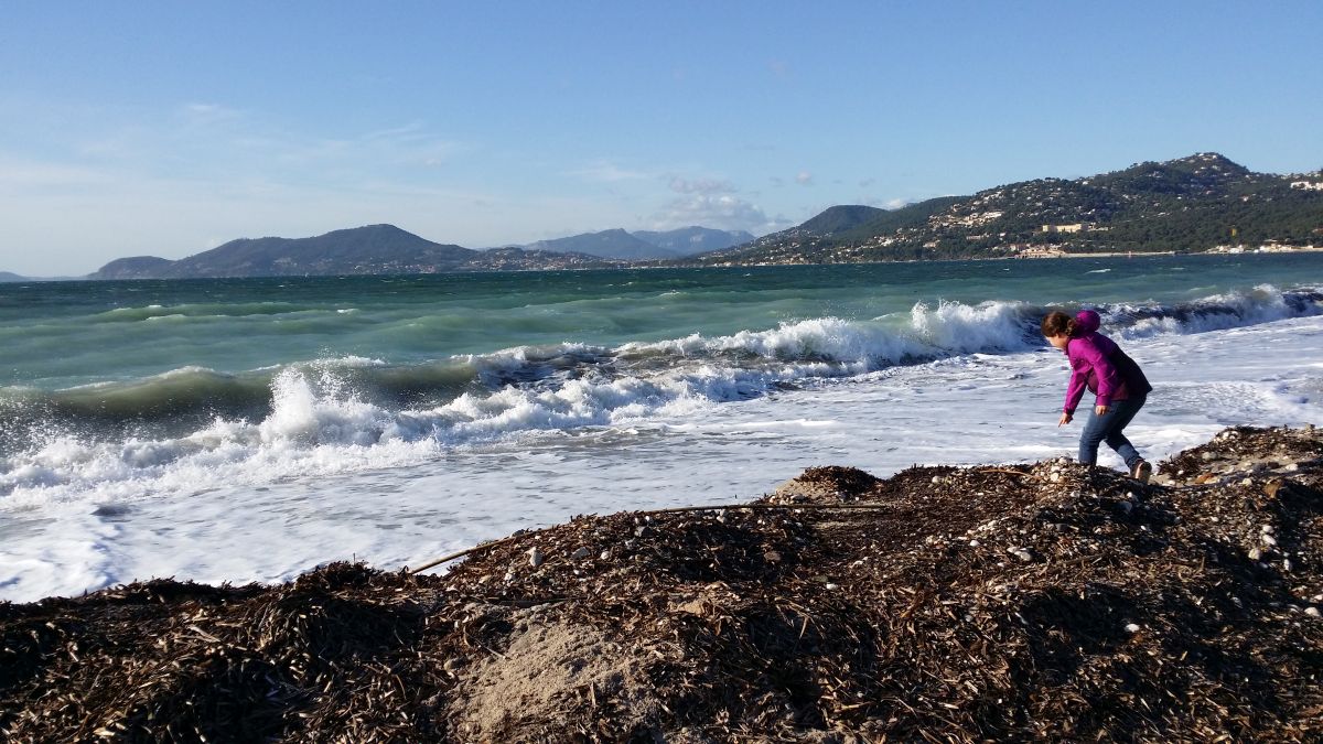 L'Almanarre