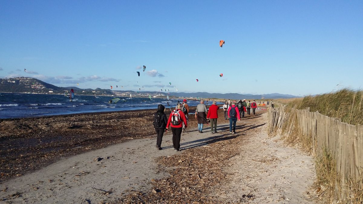 L'Almanarre