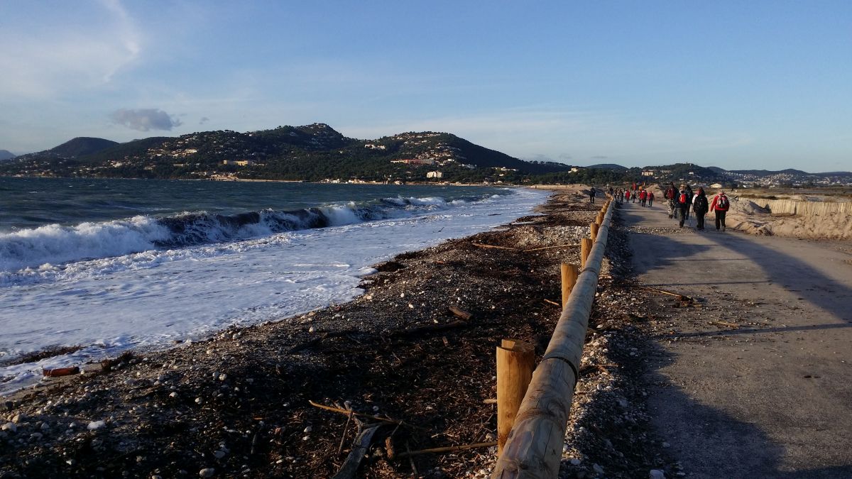 L'Almanarre