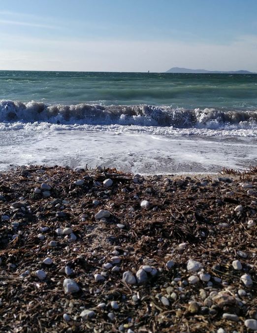 L'Almanarre