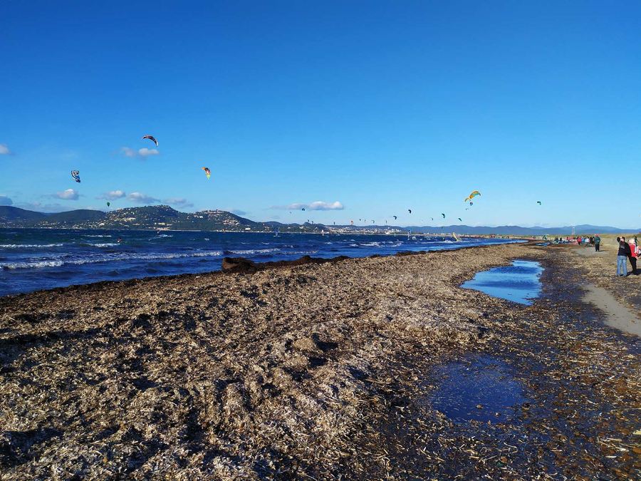 L'Almanarre