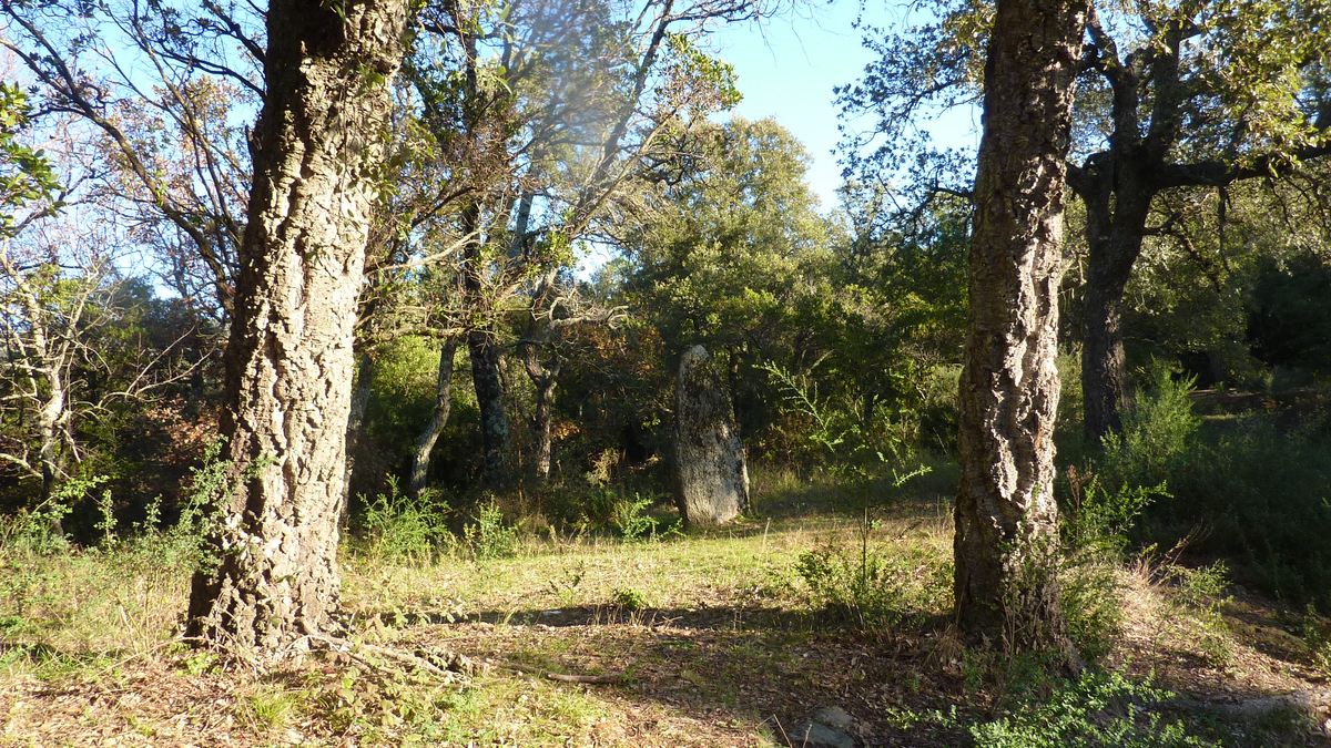 Collobrières, les menhirs de Lambert