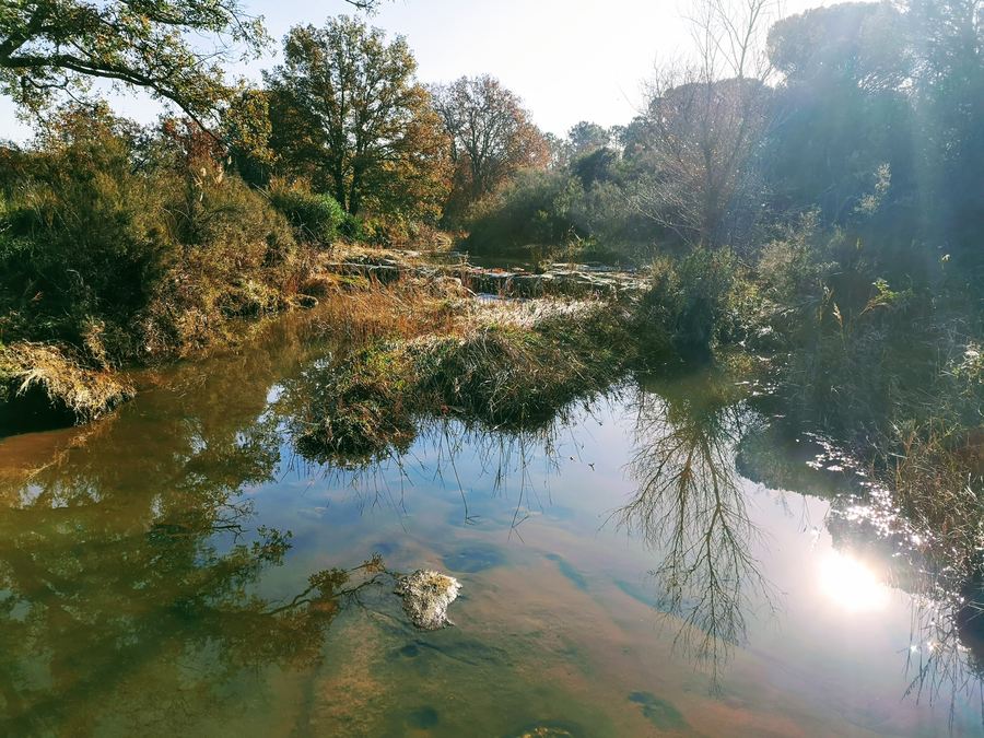 Les Mayons, cascade de l'Aille