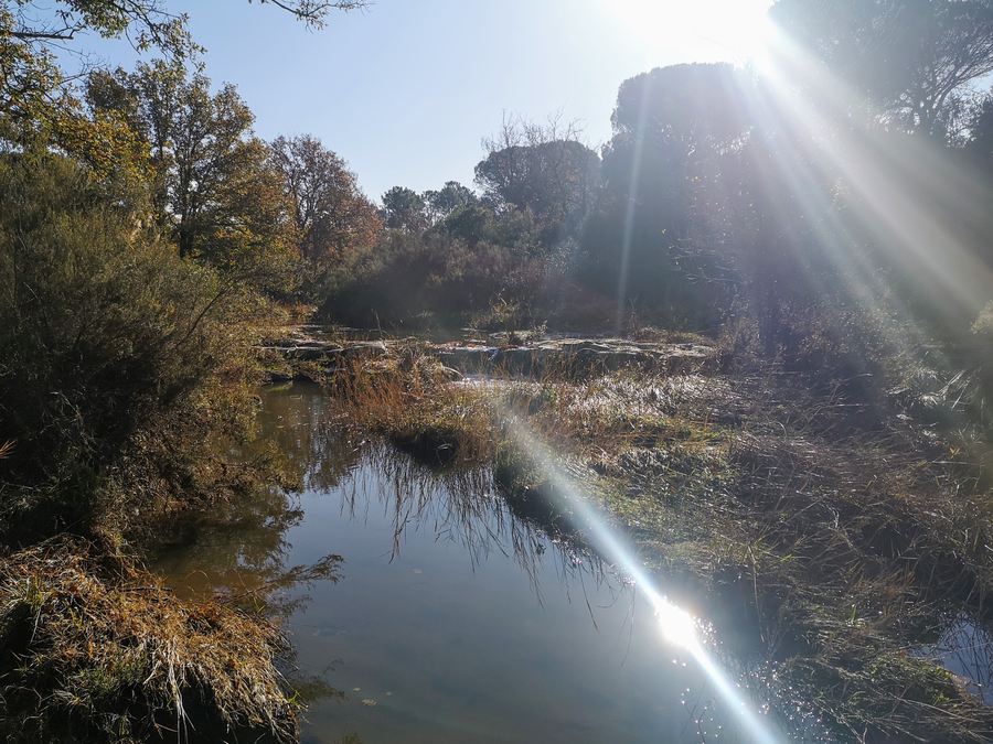 Les Mayons, cascade de l'Aille
