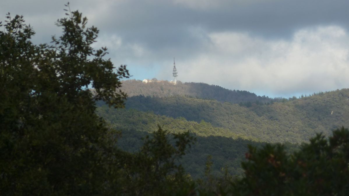 Le Crapauds