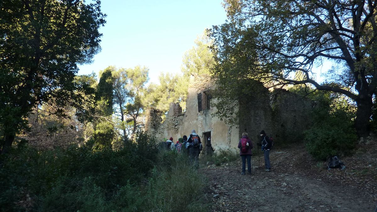Sainte Anne d'Evenos, la Capucine