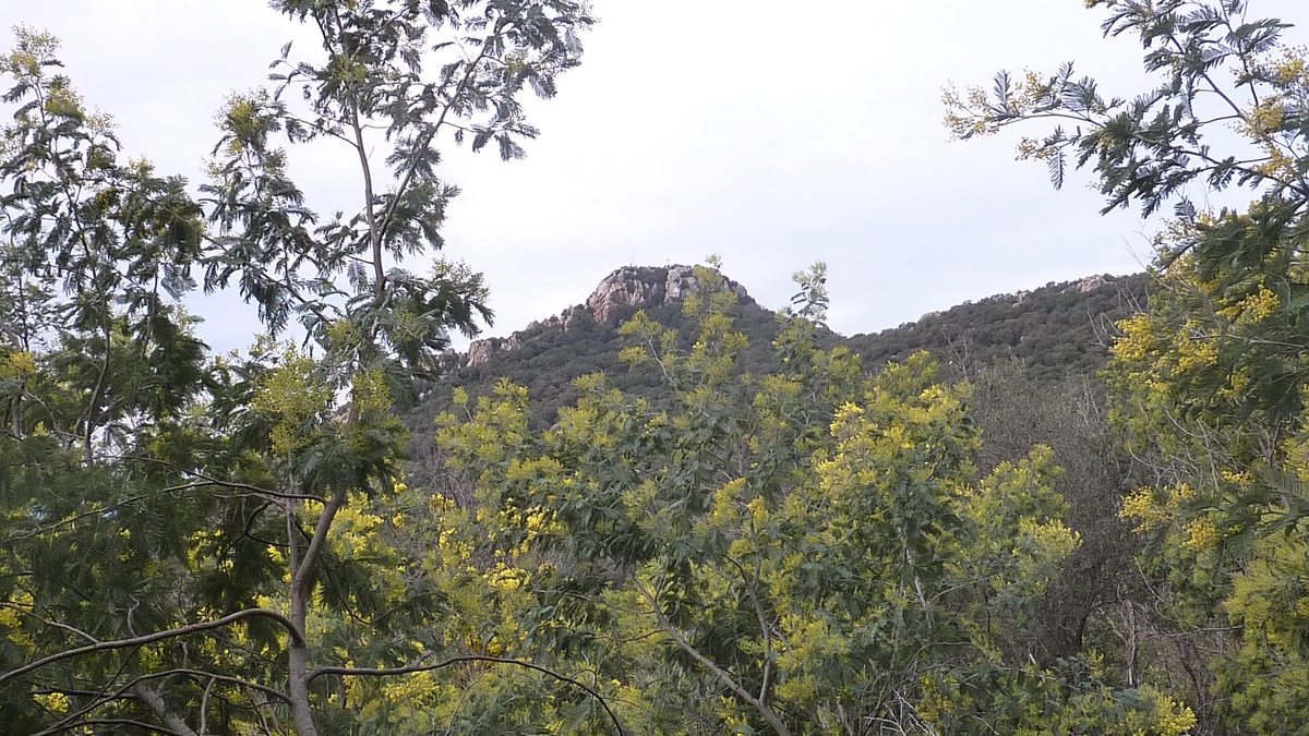 La Crau, le château d'Hyères