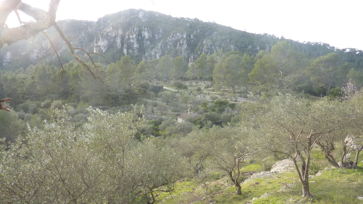 Belgentier