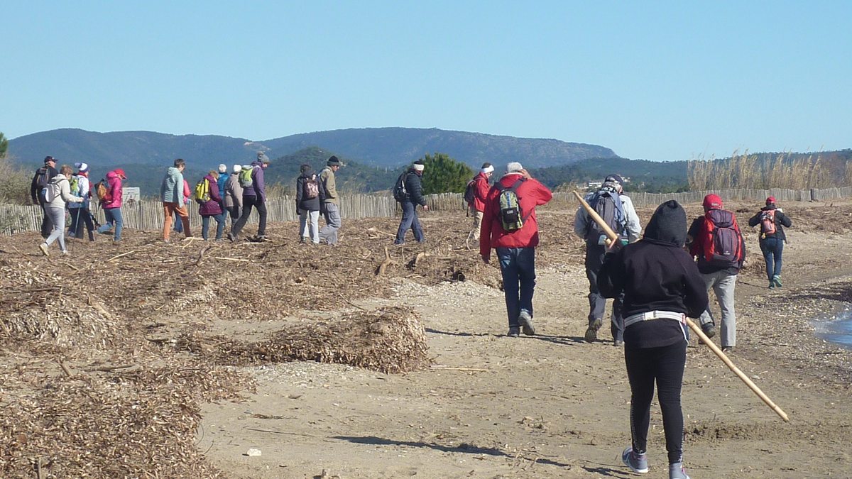 Les Salins