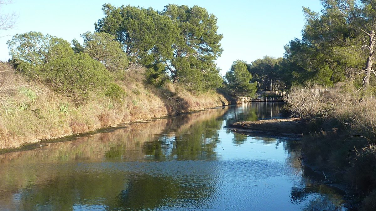 Les Salins