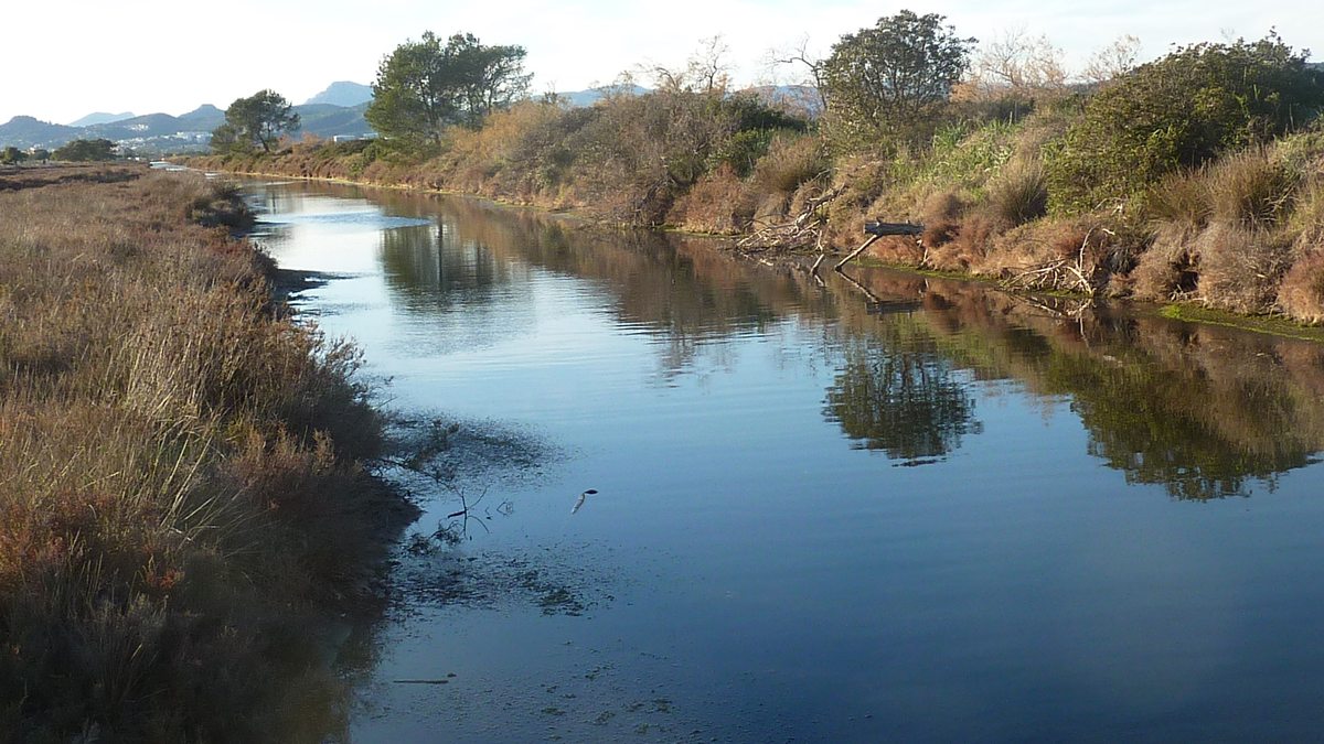 Les Salins
