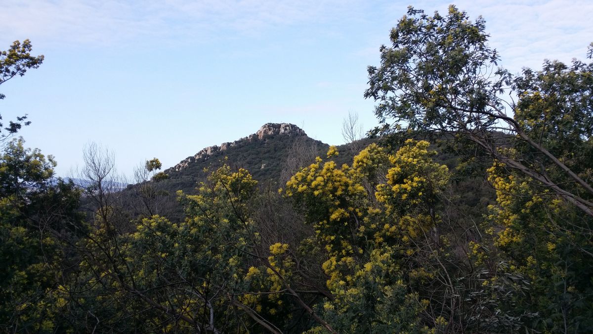 Hyères, les Maurettes