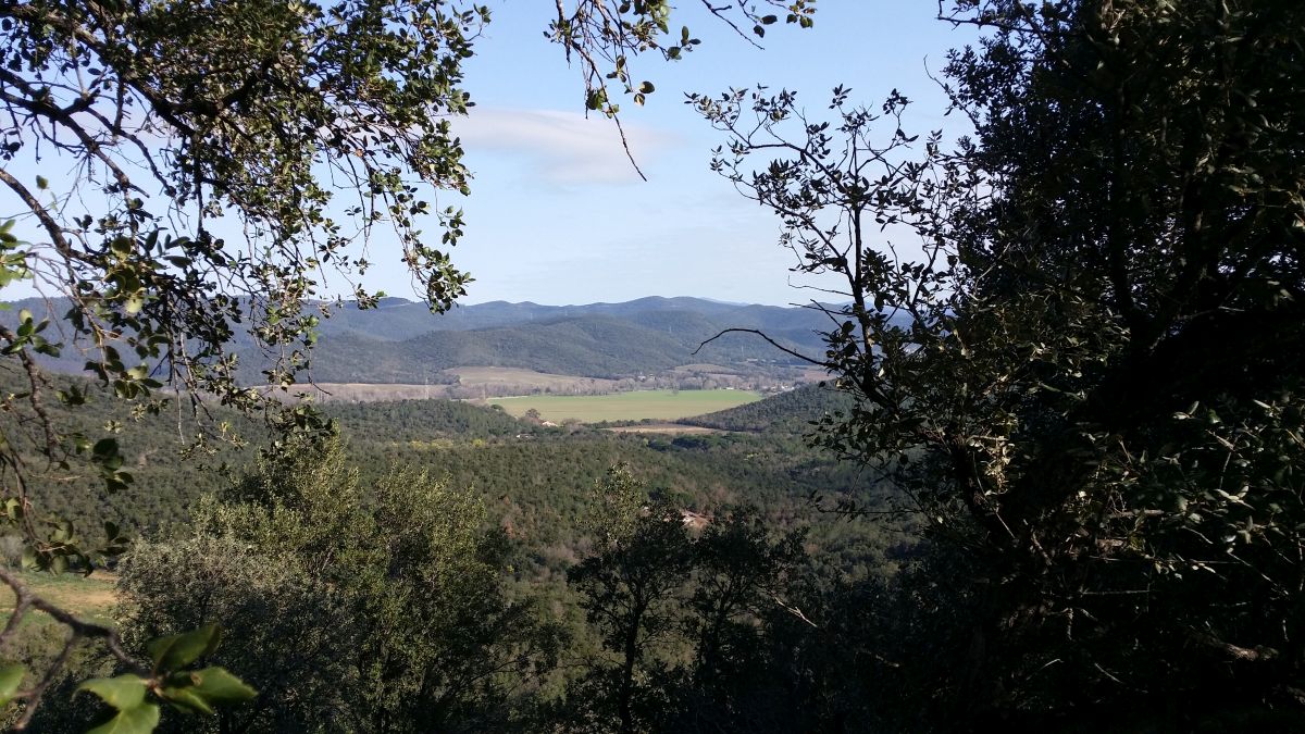 Hyères, les Maurettes