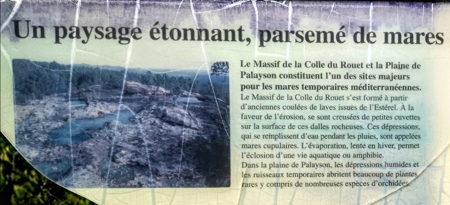 Le Muy, la colle du Rouet