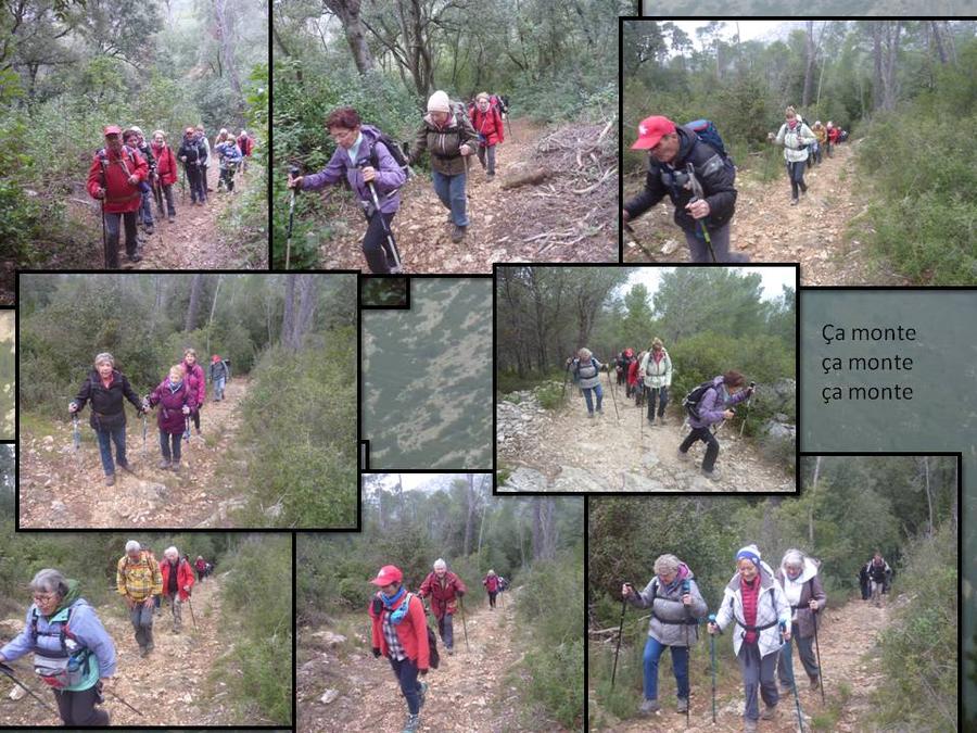 Gémenos, le mont Cruvelier