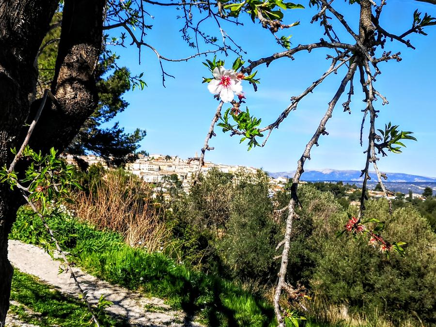 La Cadière d'Azur
