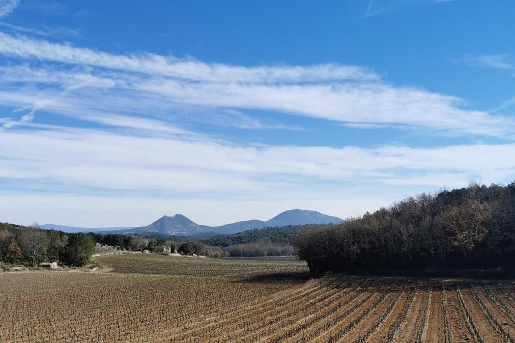 La campagne de Bras
