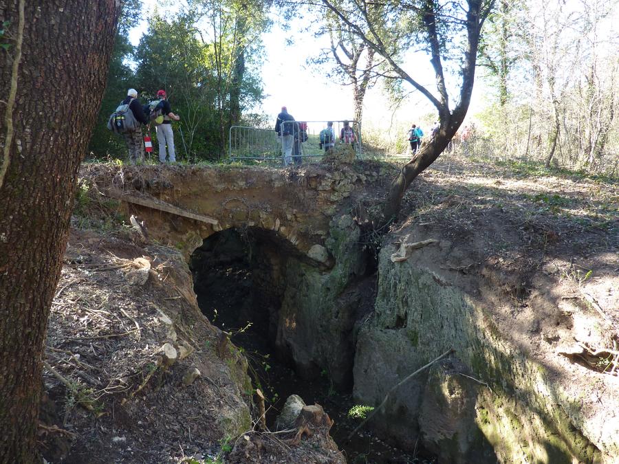 La campagne de Bras