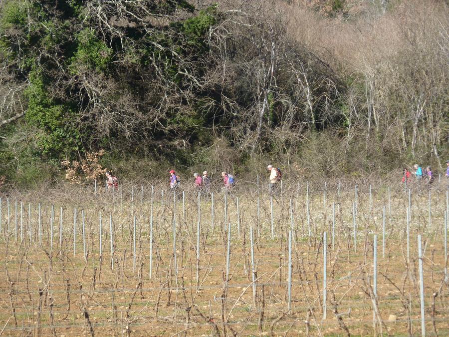 La campagne de Bras