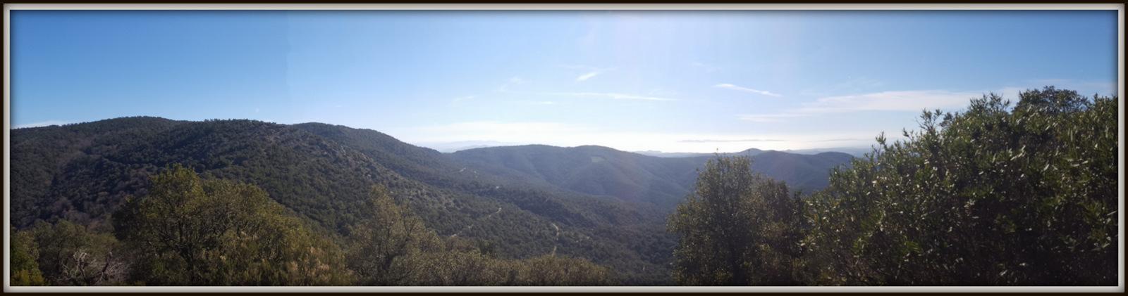 Collobrières, tour de l'Aubède