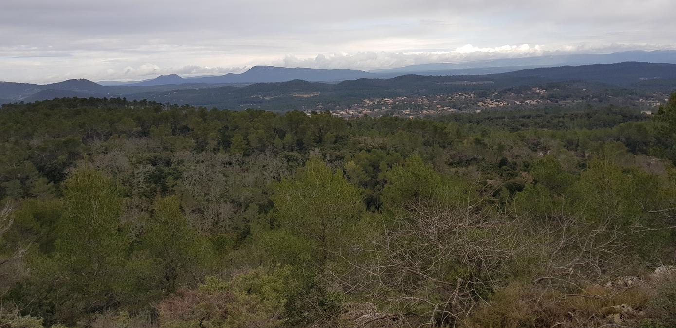 La Celle, Camps la source
