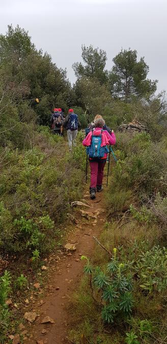 La Celle, Camps la source