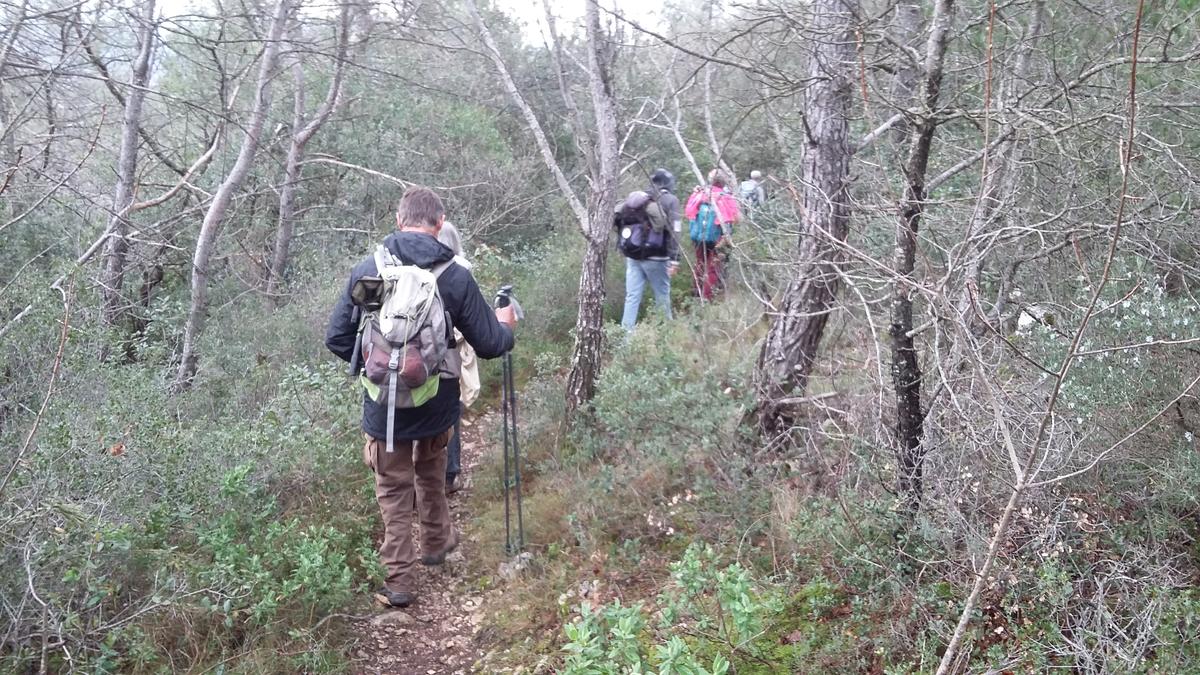 La Celle, Camps la source