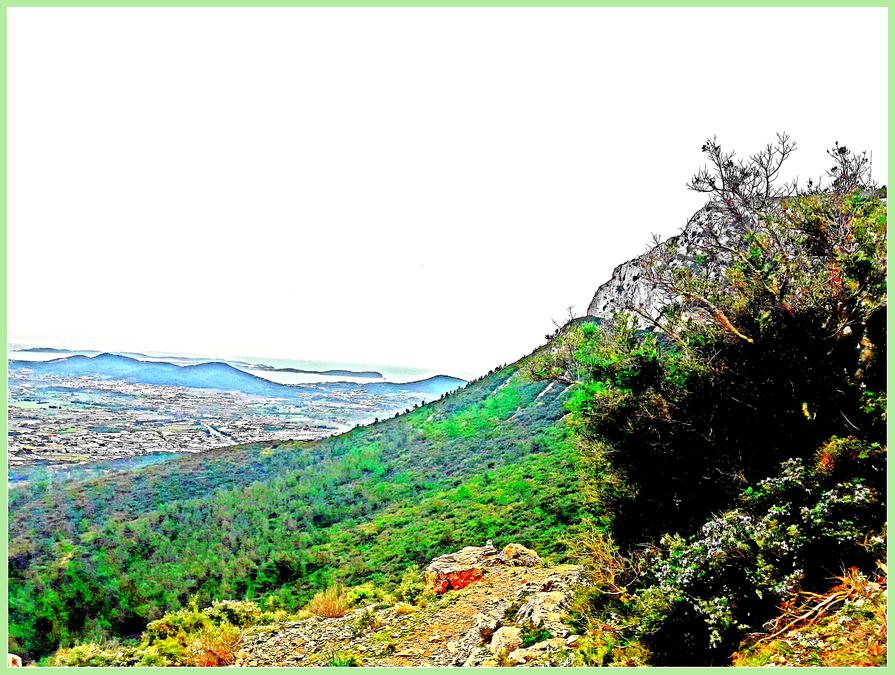 Solliès-Ville, le Coudon