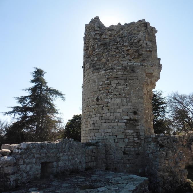 Rougiers