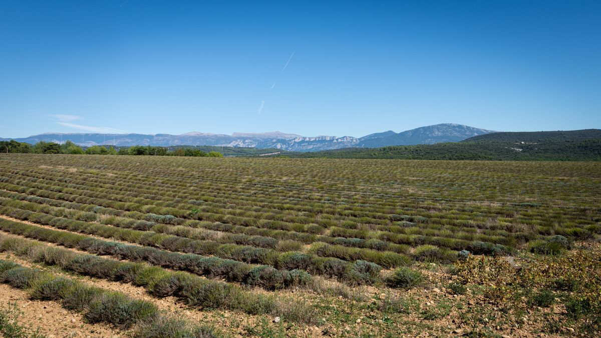Artignosc, les basses gorges du Verdon