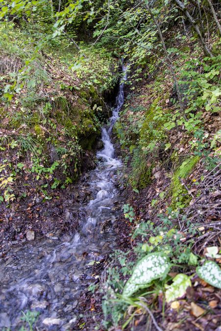 Séjour à Saint-Jean Montclar