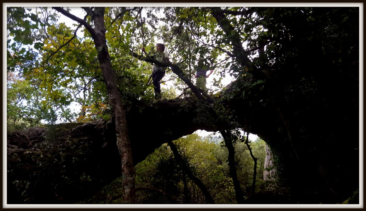 Belgentier, arche de la Garoute