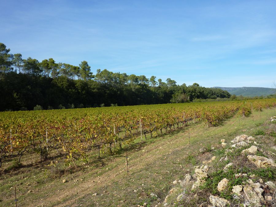Néoules
