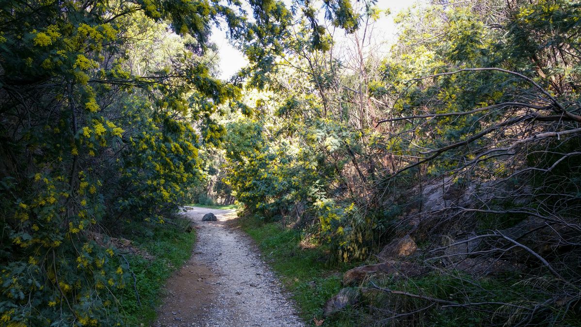 Le Rayol-Canadel