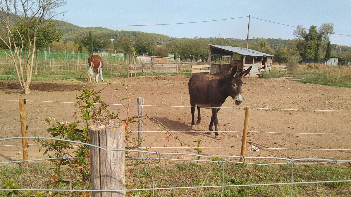 Pignans, la Lauve Saint Barthélémy
