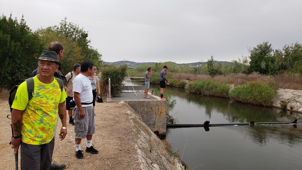 L'ayguade, le Palyvestre