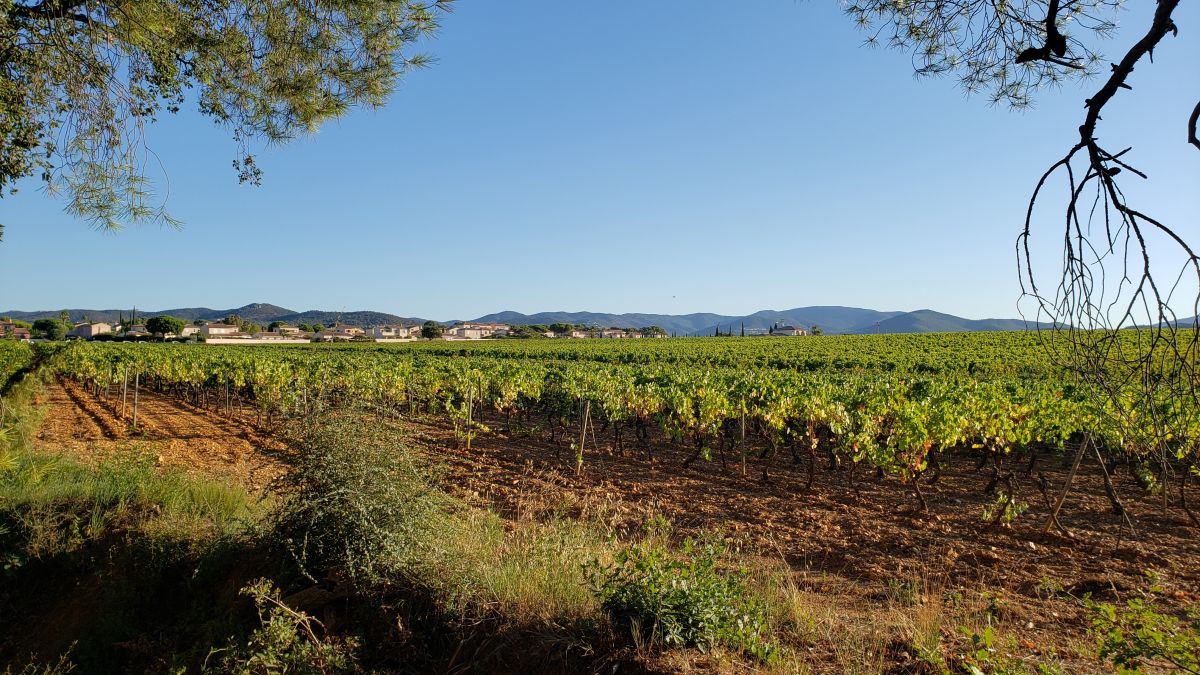 La Londe, chemin de la Garène
