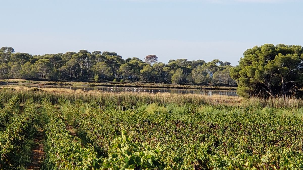 La Londe, chemin de la Garène