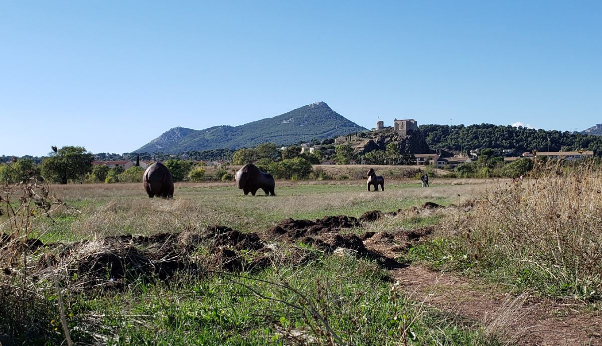 La Garde, le Plan