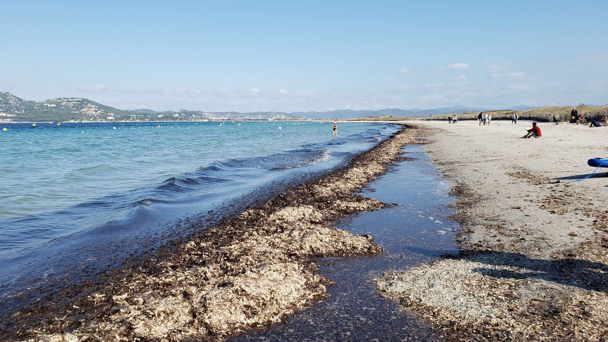Giens, le tombolo
