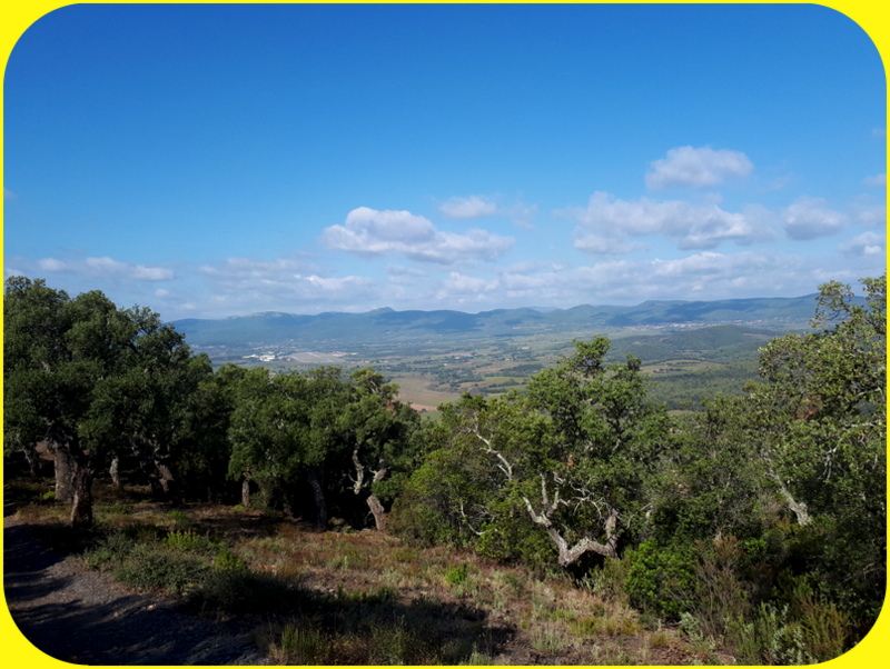 Pierrefeu, le Touret