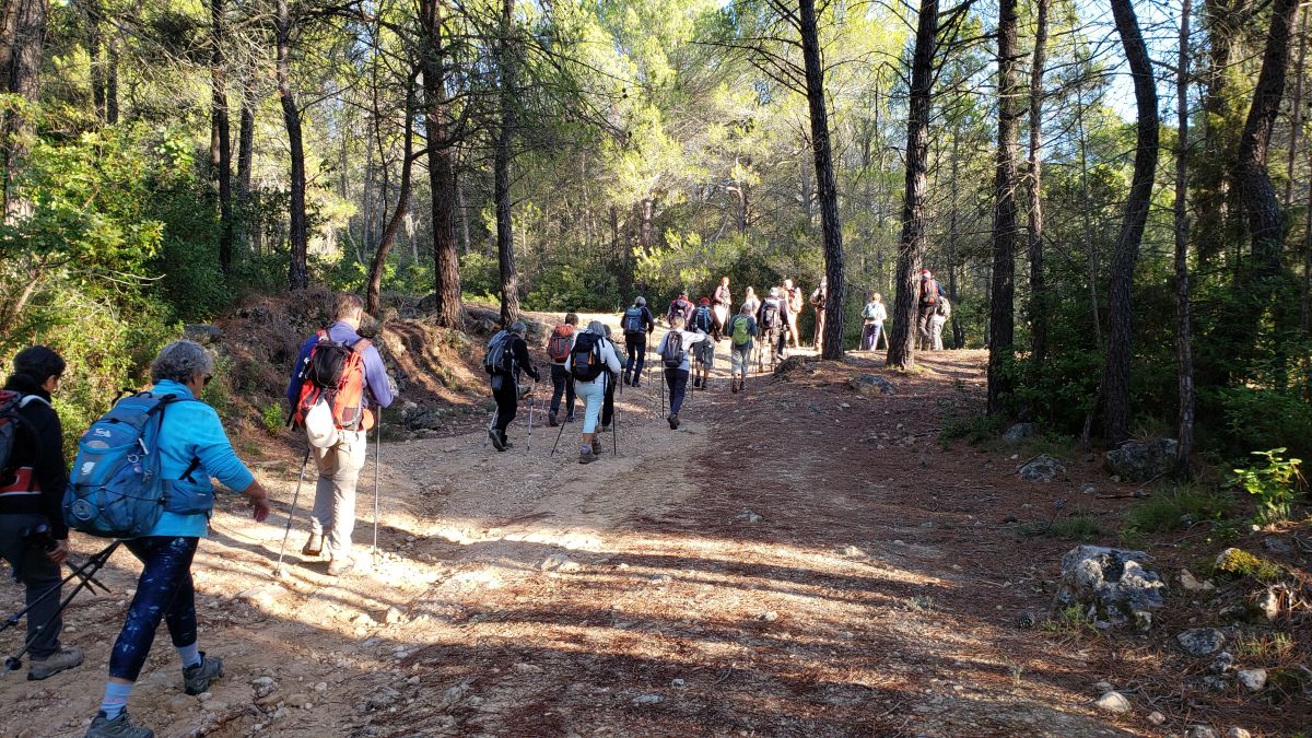 Brignoles, les dolmens