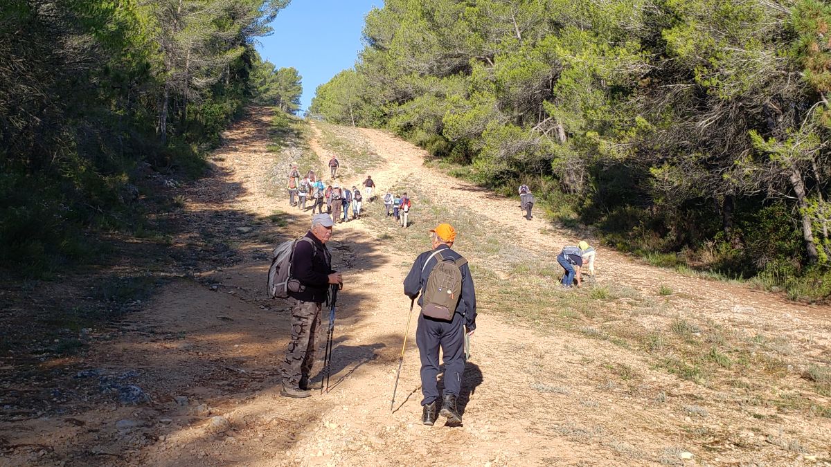 Brignoles, les dolmens